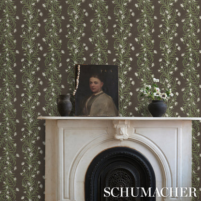 SCHUMACHER  CELERIE KEMBLE TASMANIAN MIMOSA   BROWN ,GREEN   - 5015361