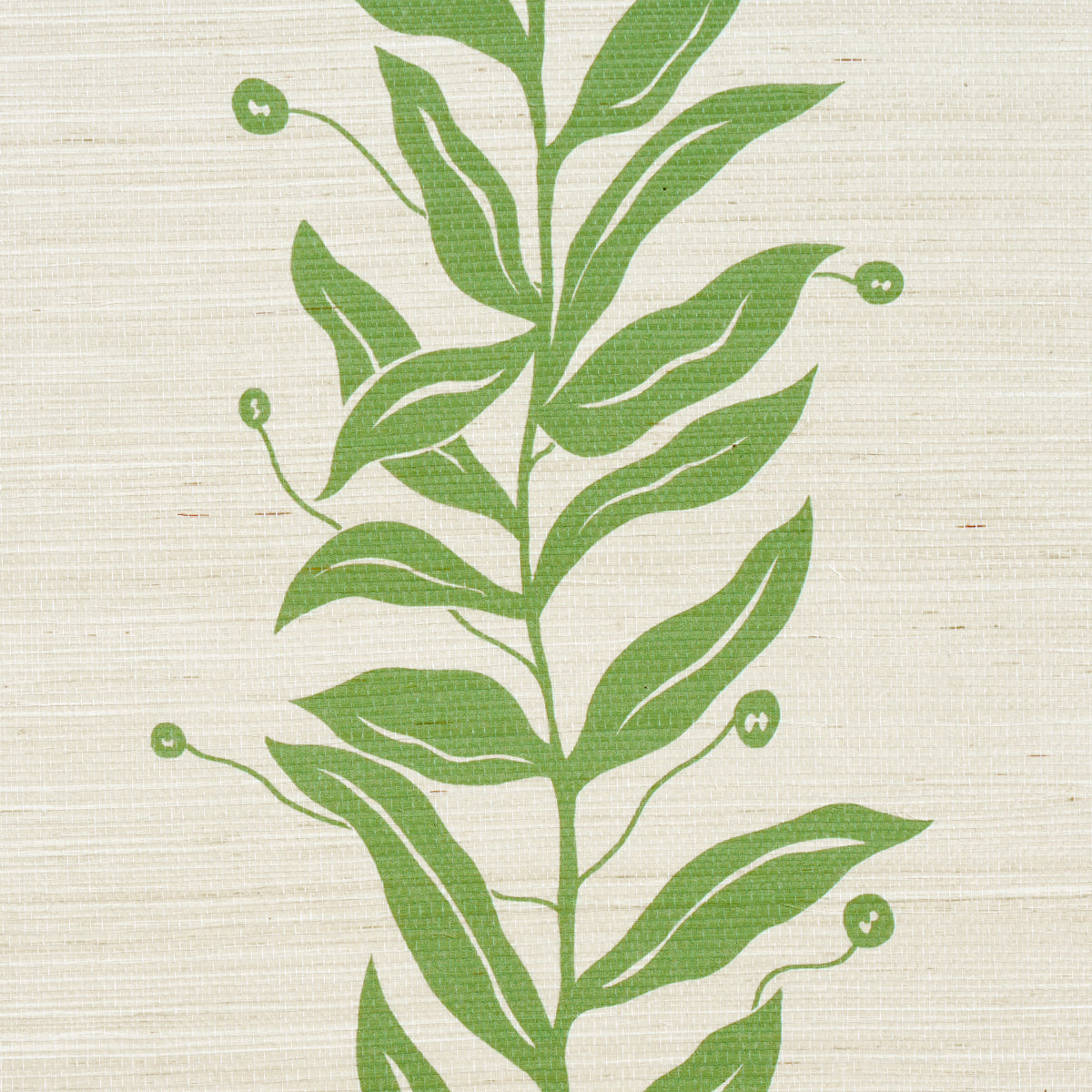 SCHUMACHER  MARIAN MCEVOY TENDRIL STRIPE SISAL   OLIVE   - 5015560