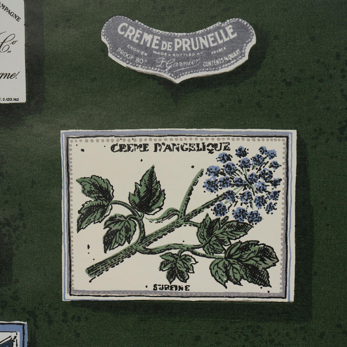 SCHUMACHER X BACKDROP SALUD   ROSEMARY   - 5015602