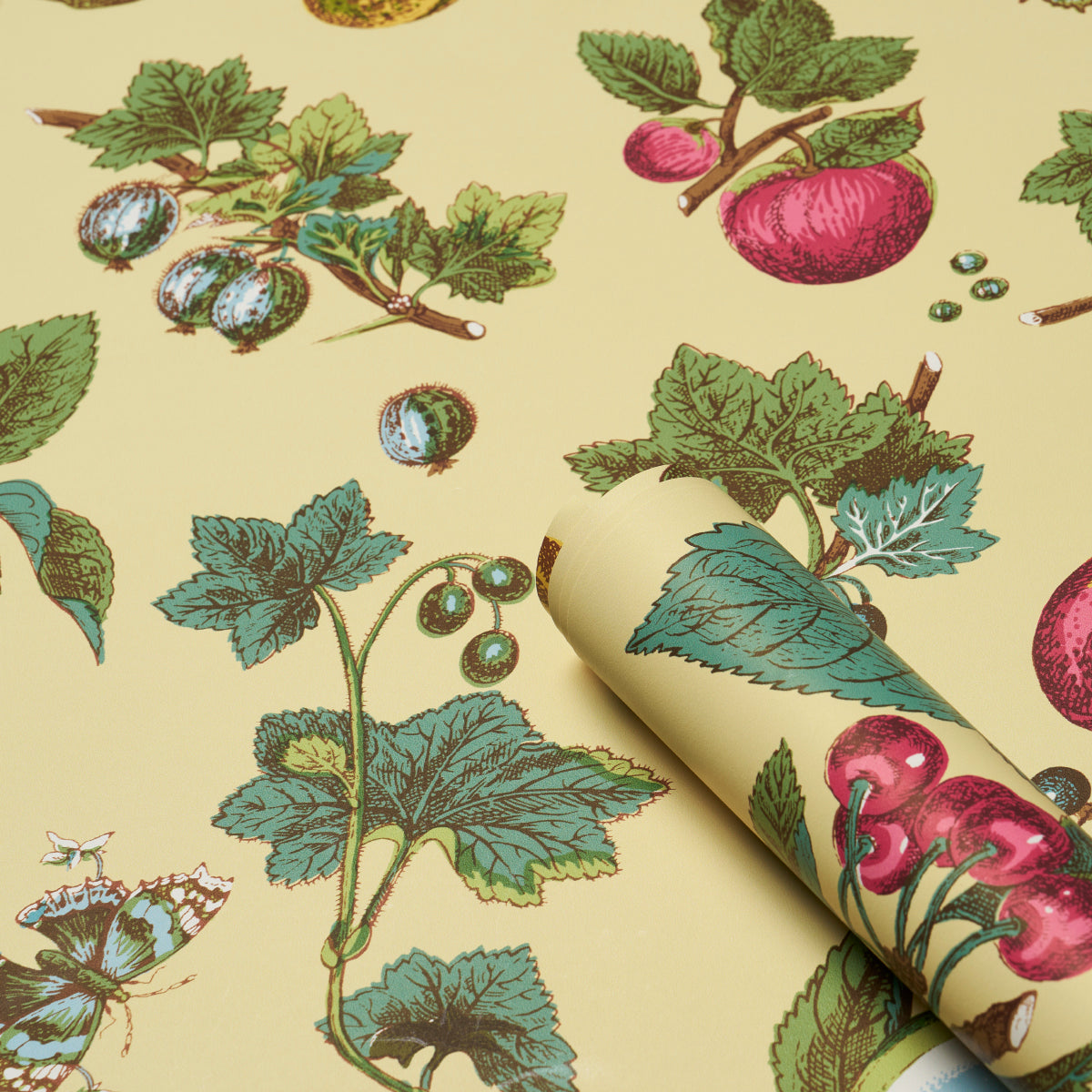 Cream wallpaper with vintage berry pattern of raspberries & currants & green leaves; rolled sample edge visible.
