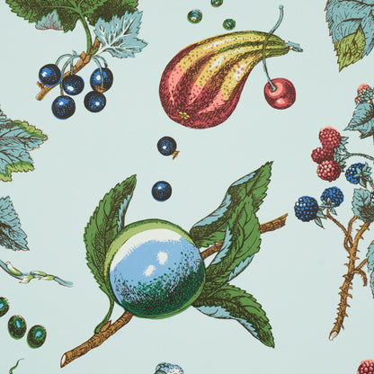 SCHUMACHER  SCHUMACHER CLASSICS BERRY GROVE   SKY   - 5015651