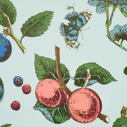 SCHUMACHER  SCHUMACHER CLASSICS BERRY GROVE   SKY   - 5015651