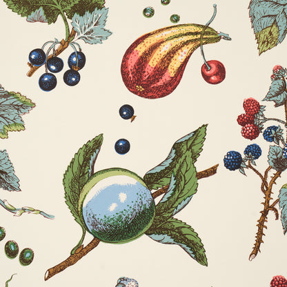 SCHUMACHER  SCHUMACHER CLASSICS BERRY GROVE   IVORY   - 5015652