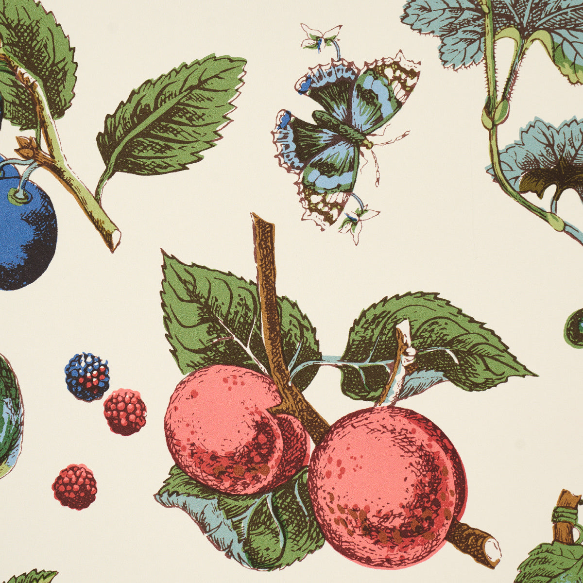 SCHUMACHER  SCHUMACHER CLASSICS BERRY GROVE   IVORY   - 5015652