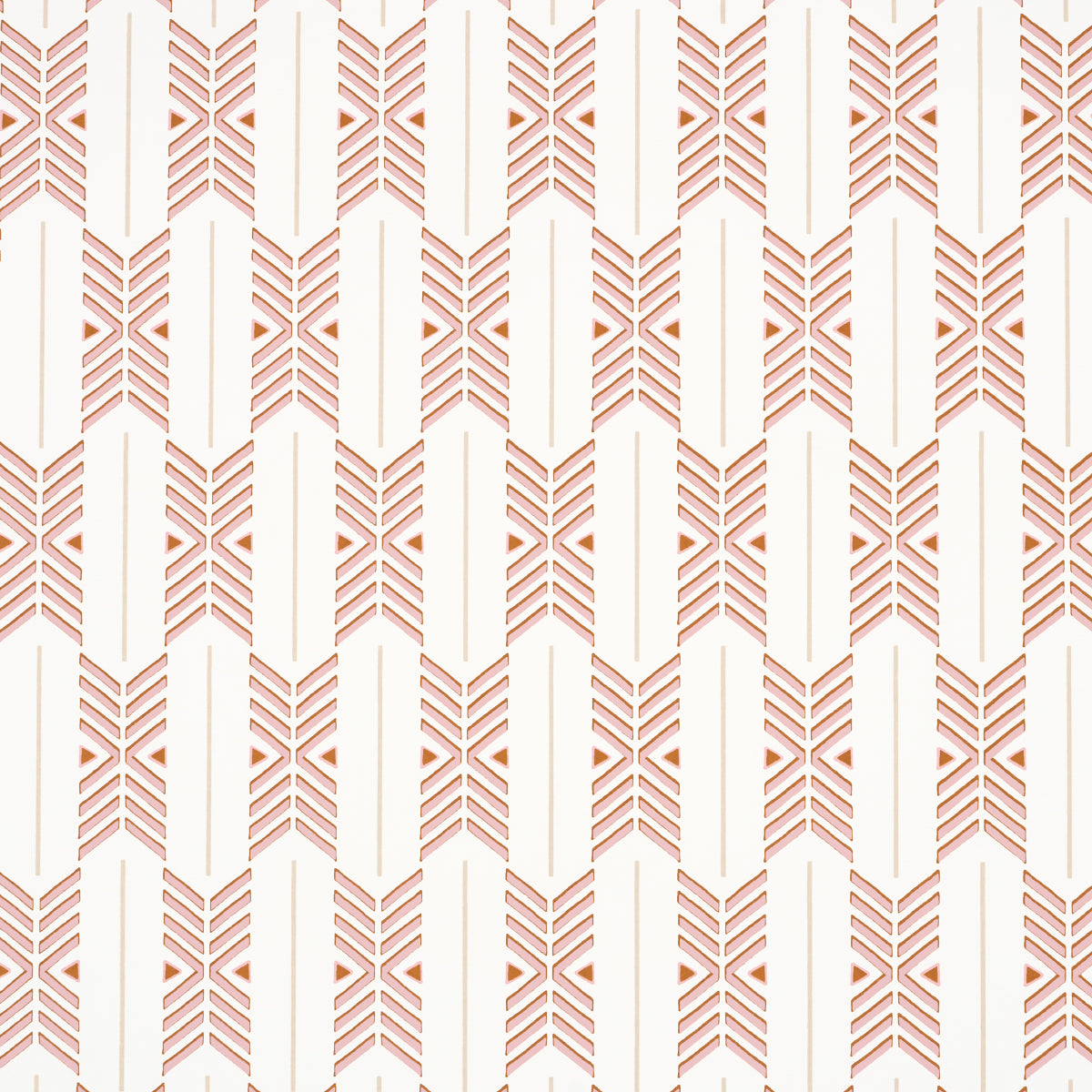 SCHUMACHER  A RUM FELLOW QUIVER   SUNSET   - 5015812