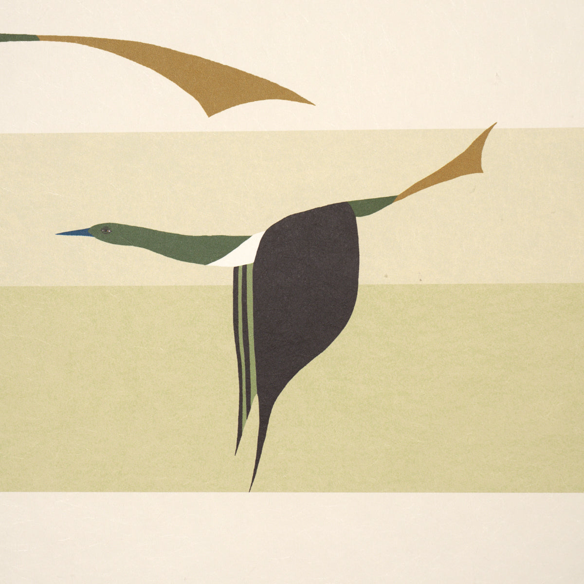 SCHUMACHER  PERENNIAL FAVORITES FLYING WEST   GREEN   - 5015853