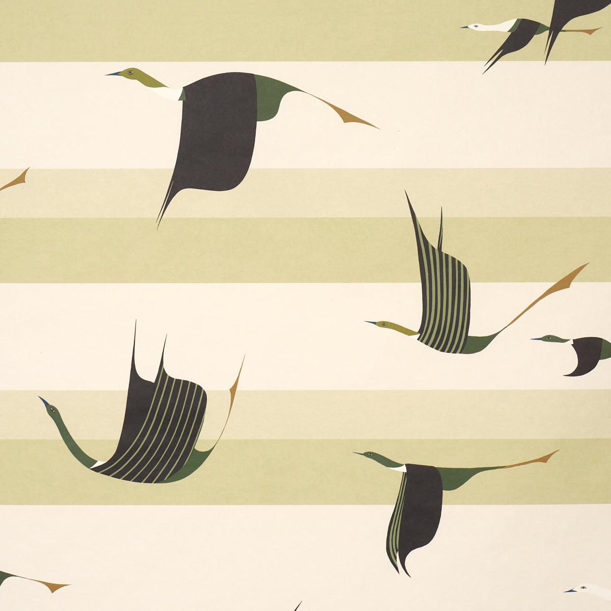 SCHUMACHER  PERENNIAL FAVORITES FLYING WEST   GREEN   - 5015853