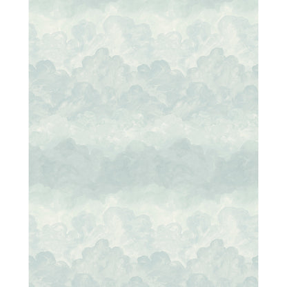 SCHUMACHER  BACKDROP X XAVIER DONNELLY PAINTED SKY   AIR   - 5016022