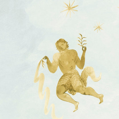 SCHUMACHER  BACKDROP X XAVIER DONNELLY ASCENDANCE 3 PANEL SET   AIR   - 5016031