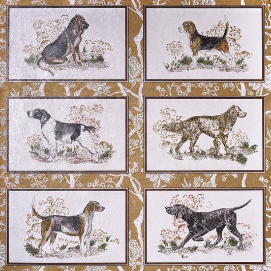 SCHUMACHER  A COUNTRY LIFE CHASERƒ??S LEGACY METALLIC   GOLD METALLIC   - 5016050