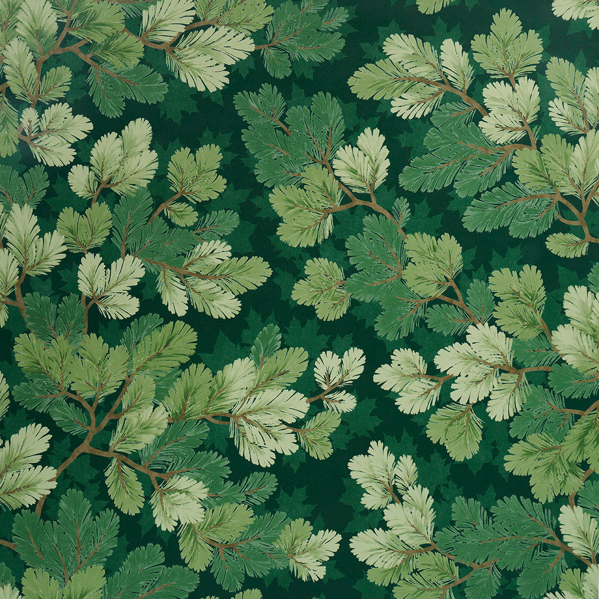 SCHUMACHER  A COUNTRY LIFE COVEY HEDGE   FOREST   - 5016071