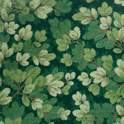 SCHUMACHER  A COUNTRY LIFE COVEY HEDGE   FOREST   - 5016071