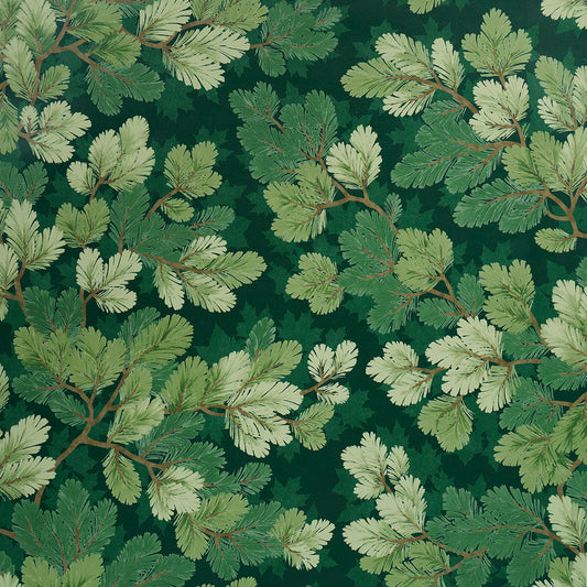 SCHUMACHER  A COUNTRY LIFE COVEY HEDGE   FOREST   - 5016071