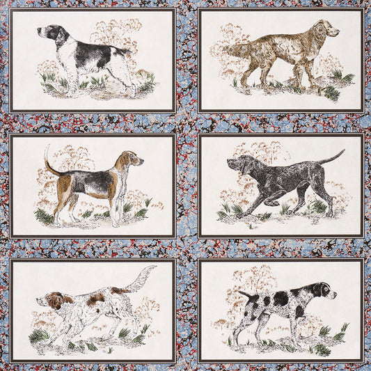 SCHUMACHER  A COUNTRY LIFE CHASER LEGACY   SLATE   - 5016080