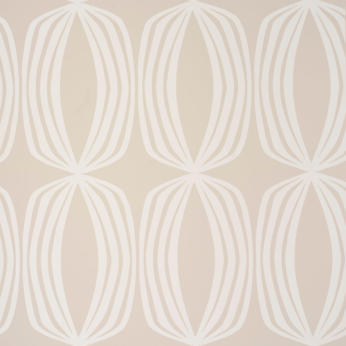 SCHUMACHER  MESA FONTANA   BIRCH   - 5016120