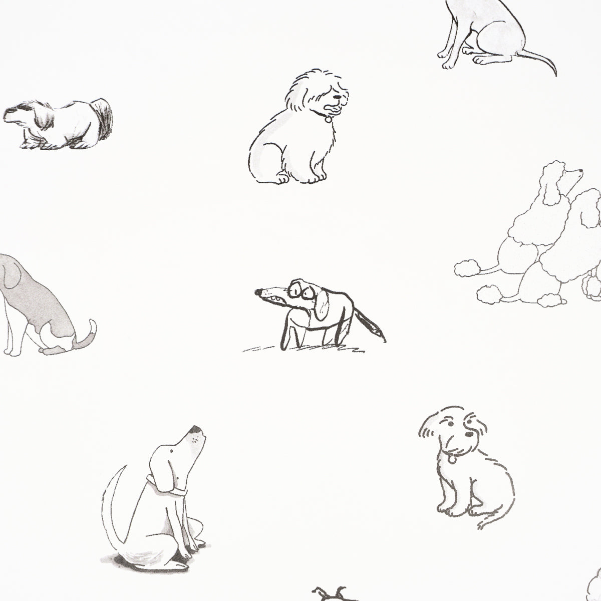 Gray pencil-drawn dog sketches in various poses scattered across a pale background; line-art pattern.