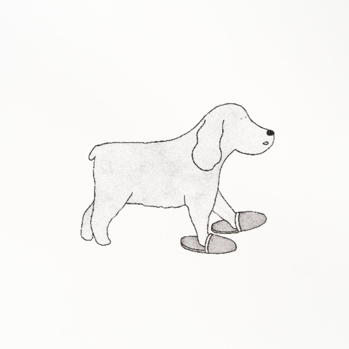 Gray sketch-style dachshund with floppy ears, standing, with a pair of slippers in front.