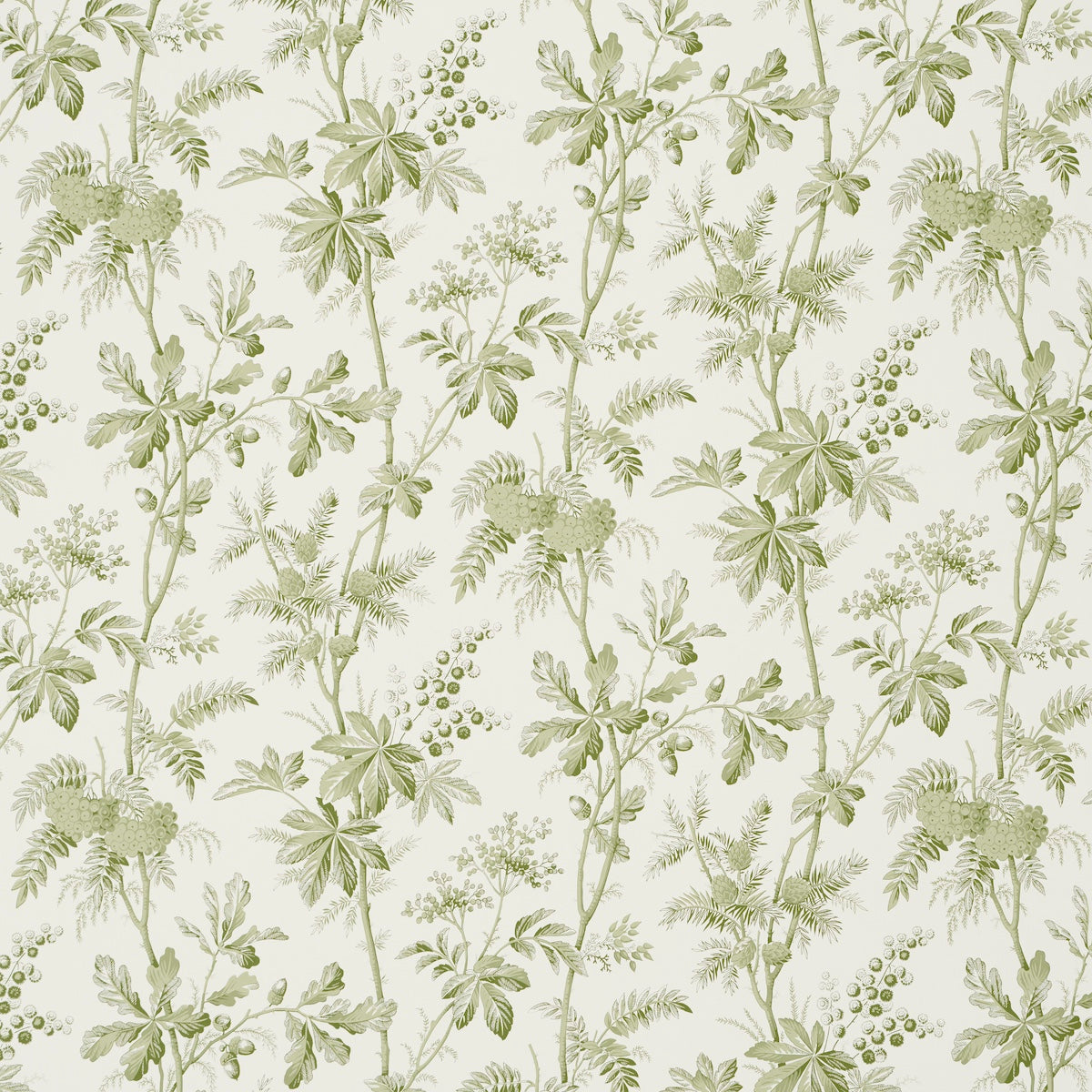 Green botanical pattern with slender stems, leafy branches, and small berry clusters on cream background.