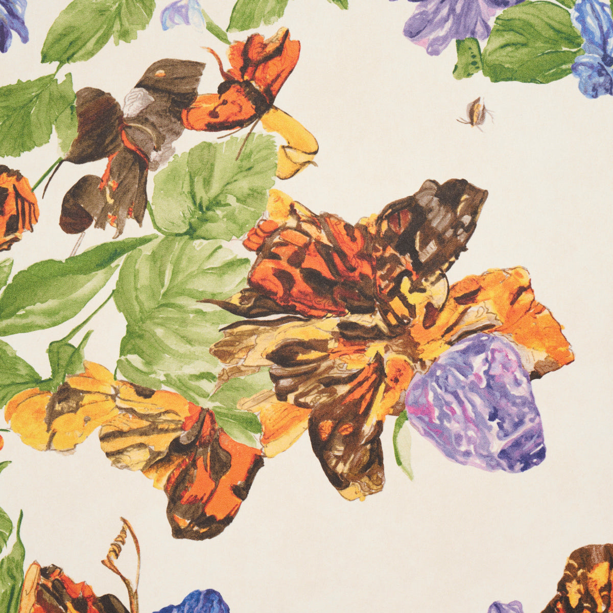 SCHUMACHER  SCHUMACHER DESIGN LAB PYNE BUTTERFLY   MONARCH ORANGE   - 5016380