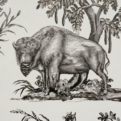 Black-and-white engraving-style illustration of a bear in a forest, detailed vintage wildlife art.