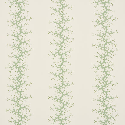 SCHUMACHER  WALLFLOWERS CORAL STRIPE   GREEN   - 5016452