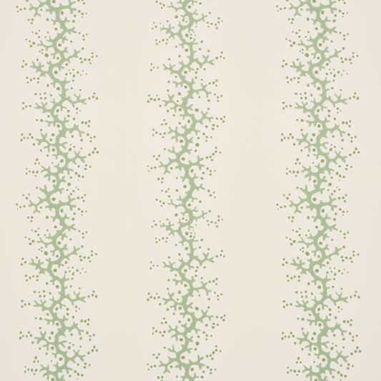 SCHUMACHER  WALLFLOWERS CORAL STRIPE   GREEN   - 5016452