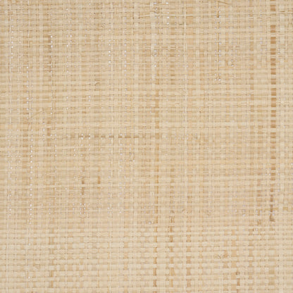 SCHUMACHER  PERENNIAL FAVORITES BLONDE RAFFIA   WHEAT   - 5016510