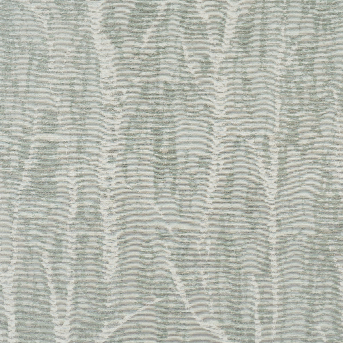 Soft sage-green and ivory birch-tree patterned rug with textured weave; woodland motif for living room decor.