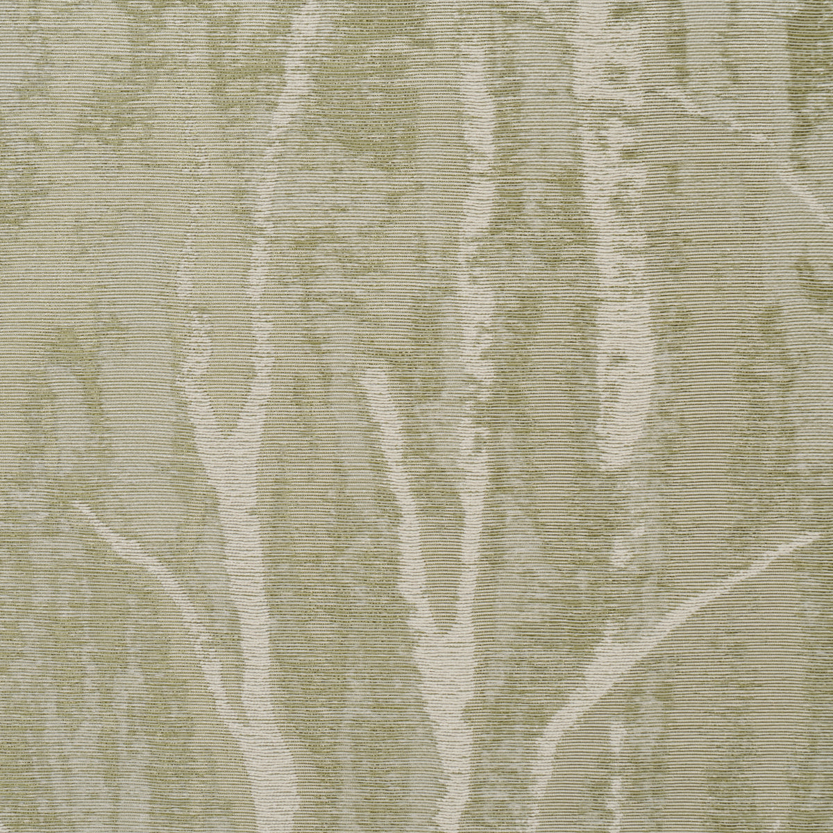 SCHUMACHER  TEXTURED & WOVEN WALLCOVERINGS KOMOREBI   ILLUMINATED FOREST   - 5016591