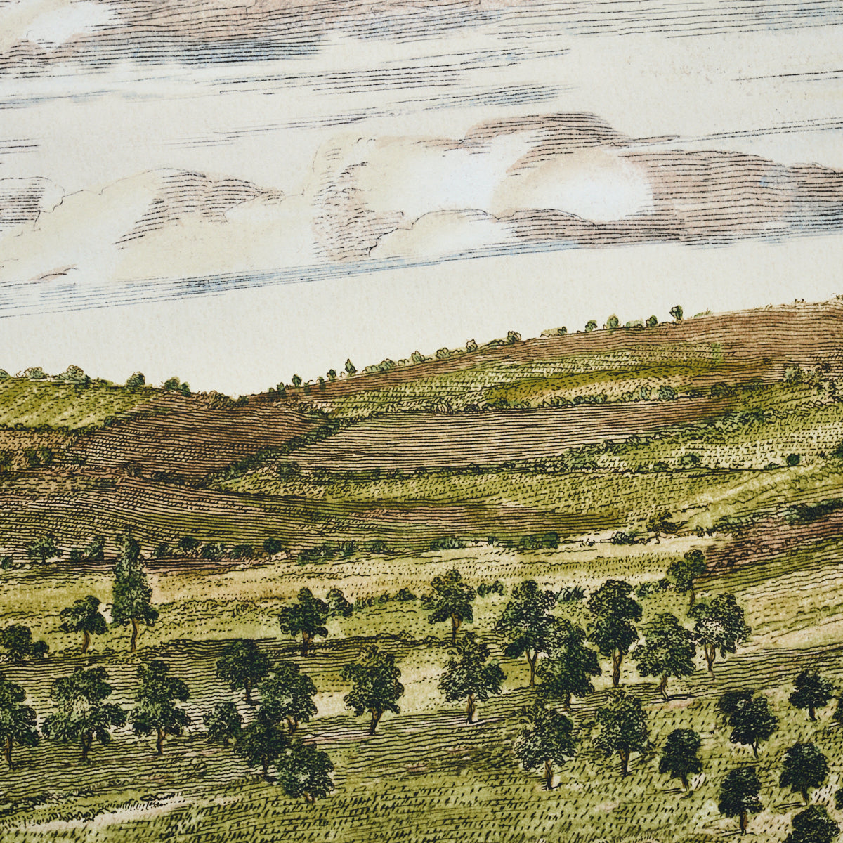 Terraced countryside landscape with rolling hills, clusters of trees, and cloudy sky in earthy greens & browns.