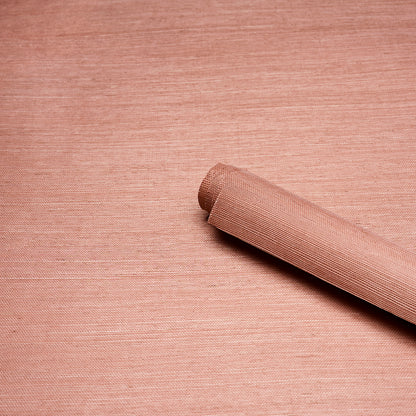 SCHUMACHER  BACKDROP HARUKI SISAL   36 HOURS IN MARRAKESH   - 5016850