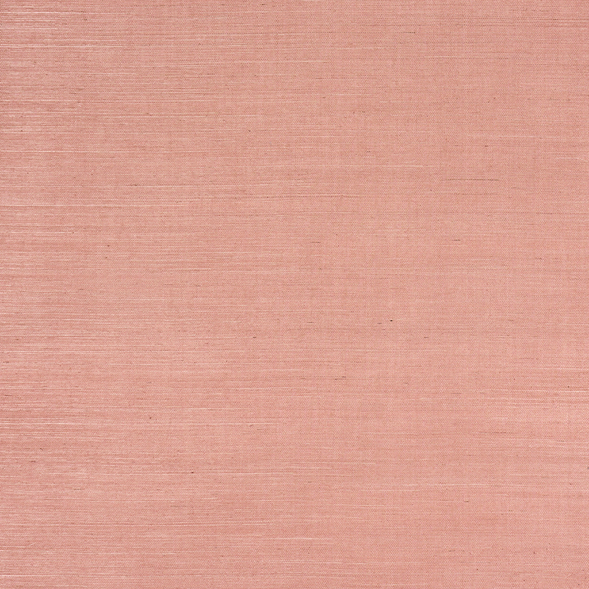 SCHUMACHER  BACKDROP HARUKI SISAL   36 HOURS IN MARRAKESH   - 5016850