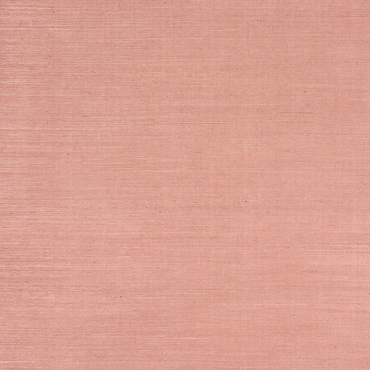 SCHUMACHER  BACKDROP HARUKI SISAL   36 HOURS IN MARRAKESH   - 5016850