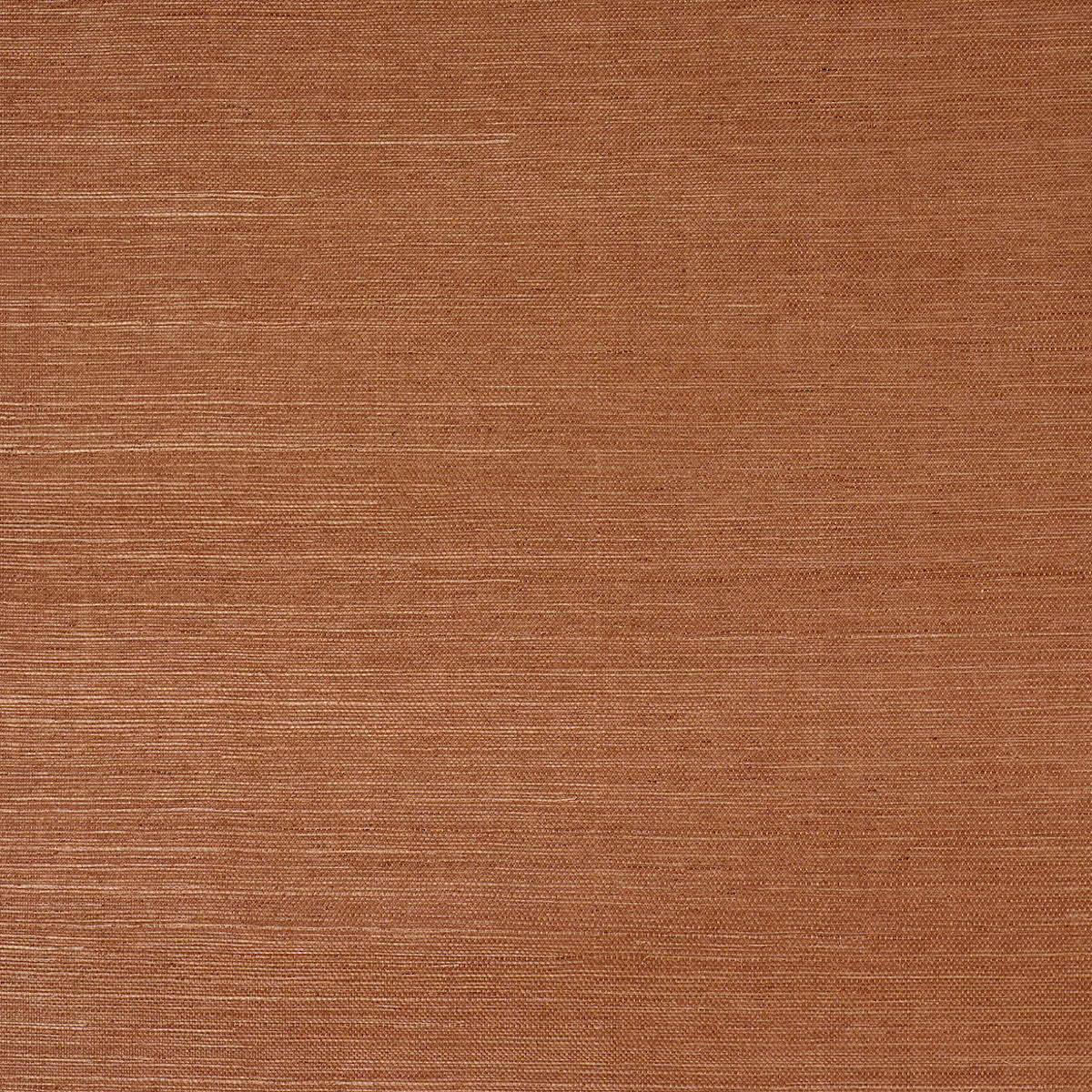 SCHUMACHER  BACKDROP HARUKI SISAL   GHOST RANCH   - 5016851