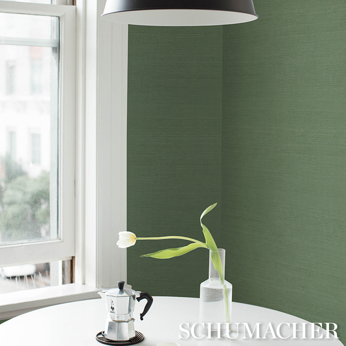 Green textured backdrop with a sunlit window scene.
