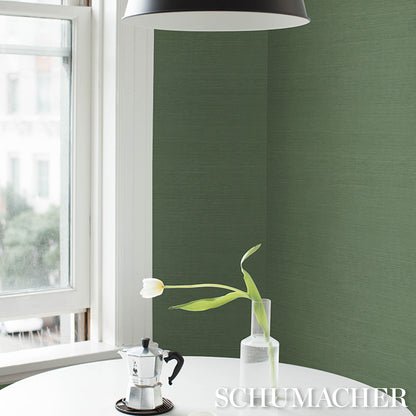 Green textured backdrop with a sunlit window scene.