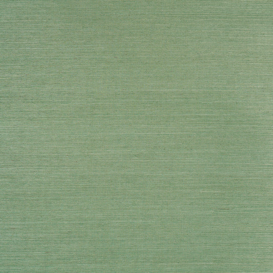 SCHUMACHER  BACKDROP HARUKI SISAL   DRIVE-THRU SAFARI   - 5016854