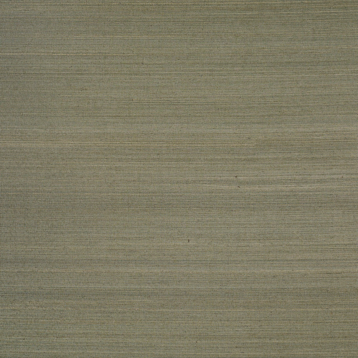 SCHUMACHER  PATTERSON FLYNN MUSA ABACA WALLCOVERING   EUCALYPTUS   - 5016876