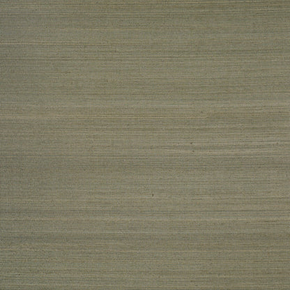SCHUMACHER  PATTERSON FLYNN MUSA ABACA WALLCOVERING   EUCALYPTUS   - 5016876