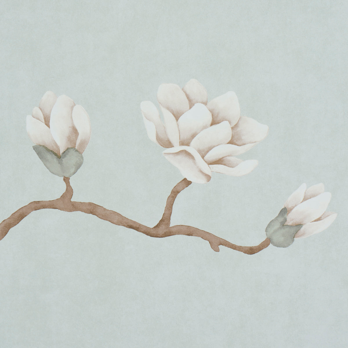 Watercolor magnolia branch with pale white blossoms, brown stem and small green leaves on a soft blue background.