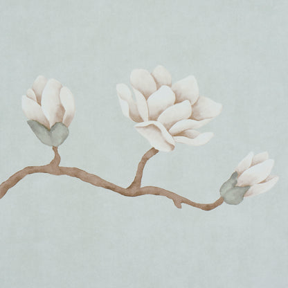 Watercolor magnolia branch with pale white blossoms, brown stem and small green leaves on a soft blue background.