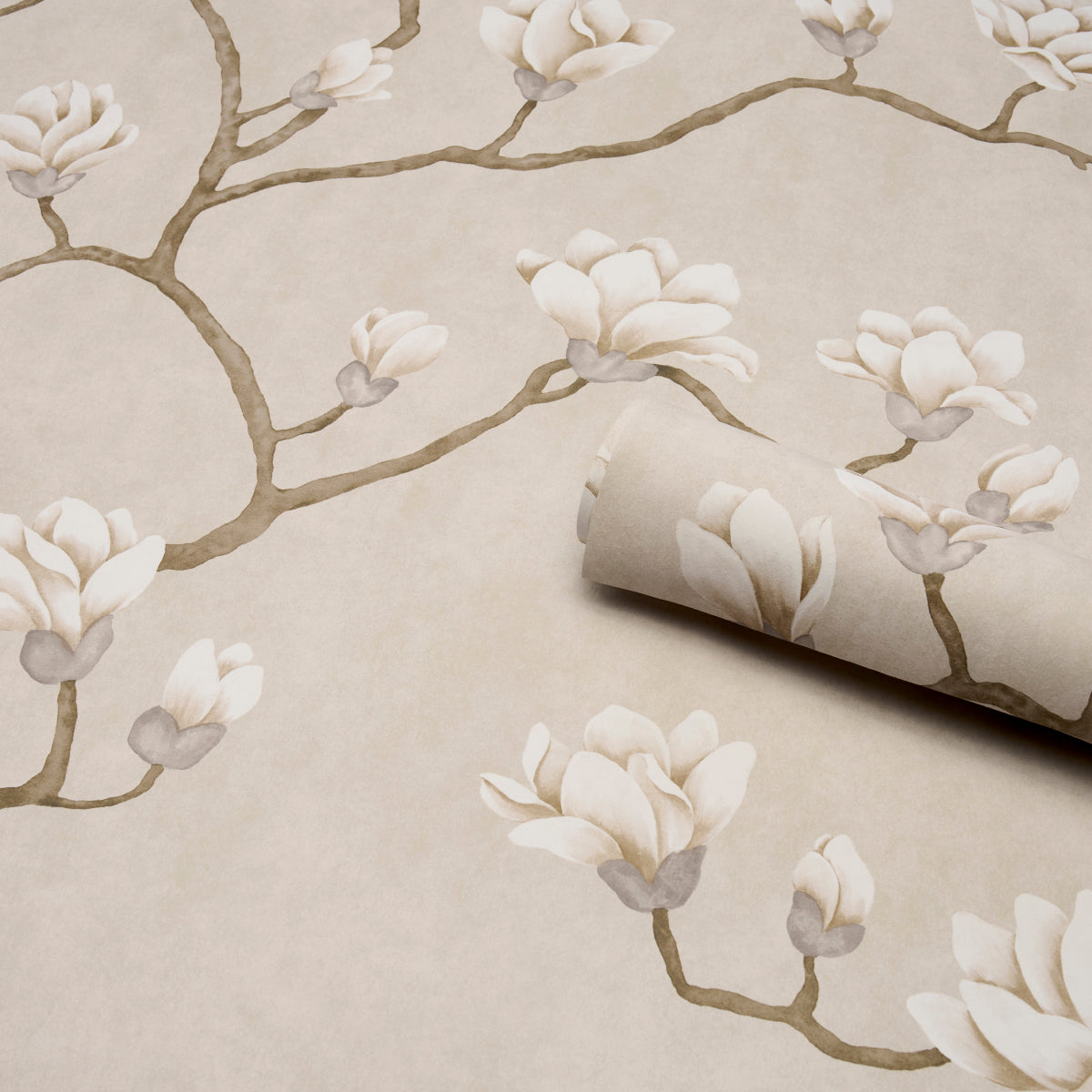 Neutral wallpaper with ivory magnolia blossoms on brown branches, rolled edge exposing beige background.