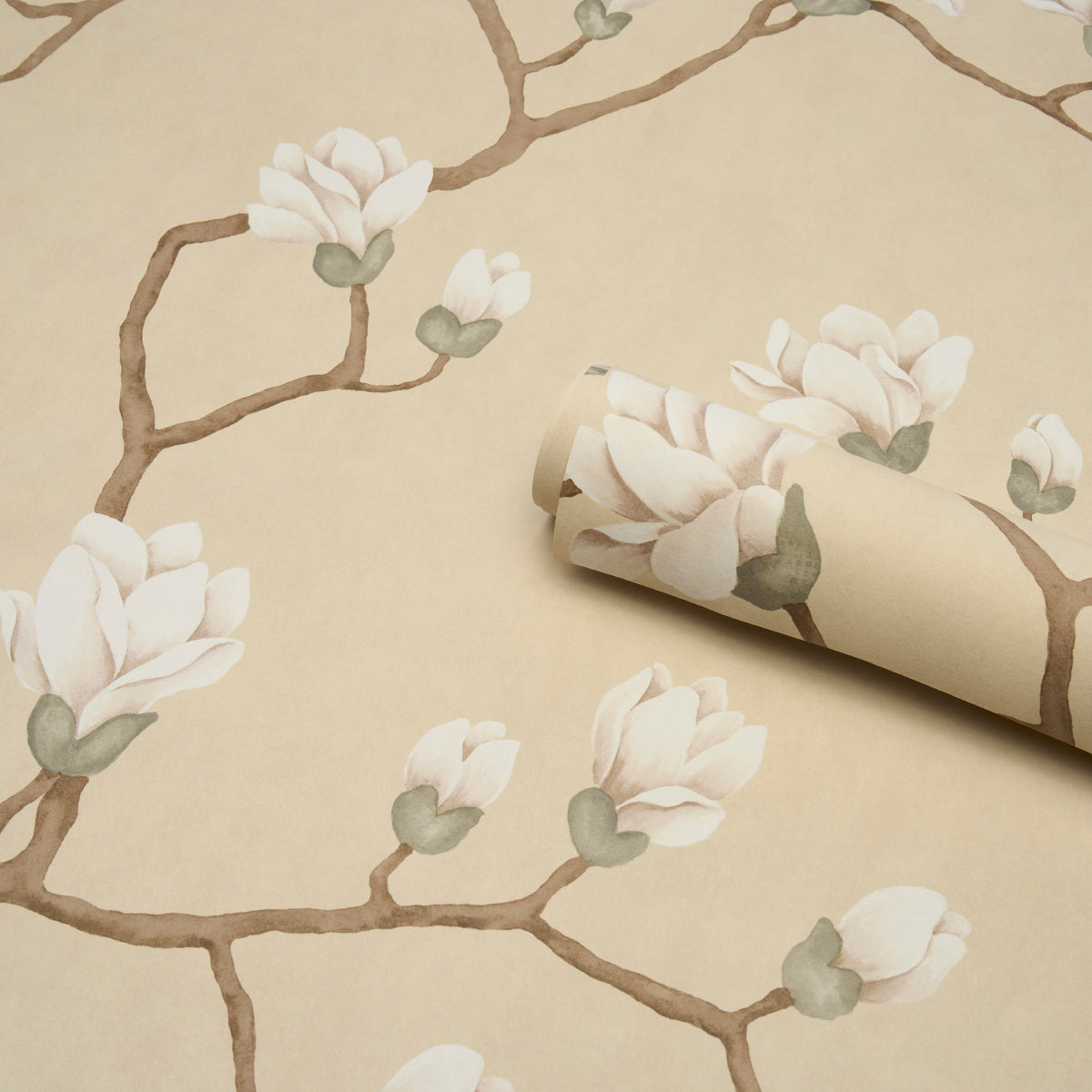 Beige wallpaper featuring brown branches with white magnolia blossoms; rolled sheet partially unrolled.