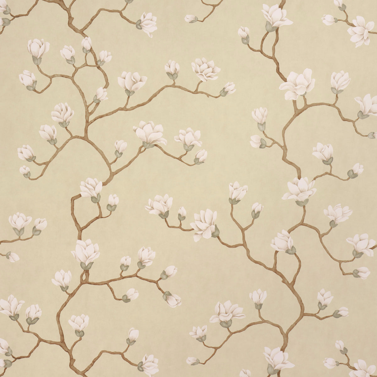 Beige wallpaper featuring sinuous brown branches and white magnolia blossoms in a delicate repeating pattern.