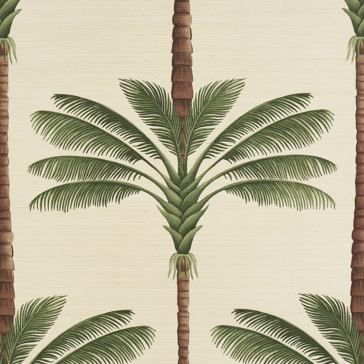 SCHUMACHER WALLCOVERING  JOHANNA ORTIZ A PALM IS A PALM SISAL   DAYLIGHT EVERGREEN   - 5016961