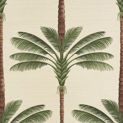 SCHUMACHER WALLCOVERING  JOHANNA ORTIZ A PALM IS A PALM SISAL   DAYLIGHT EVERGREEN   - 5016961