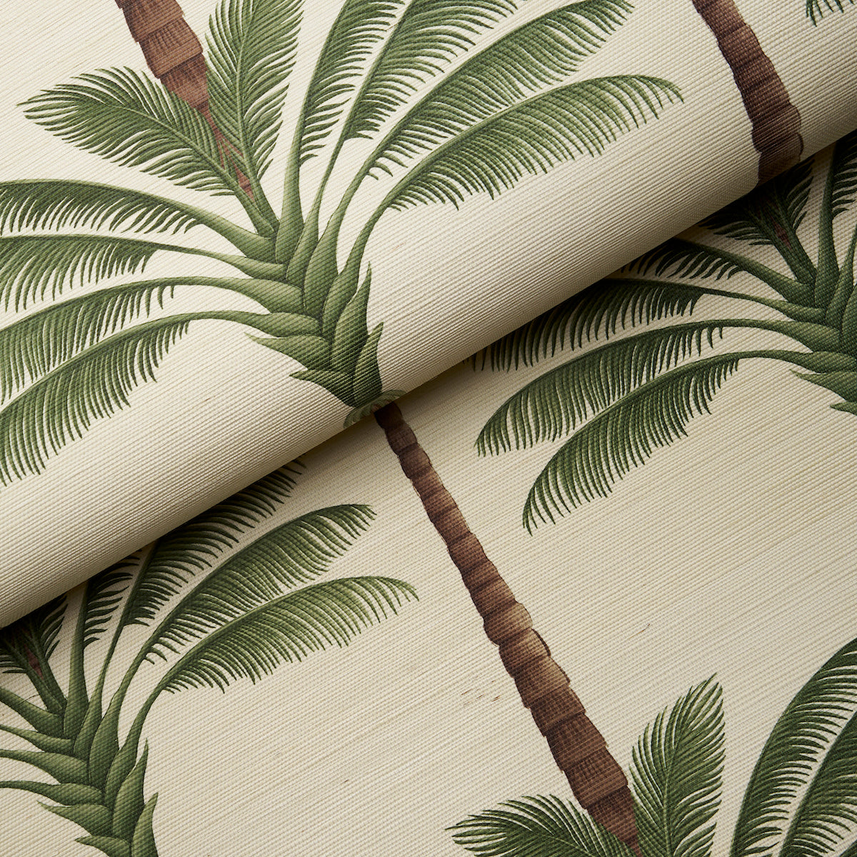 SCHUMACHER WALLCOVERING  JOHANNA ORTIZ A PALM IS A PALM SISAL   DAYLIGHT EVERGREEN   - 5016961