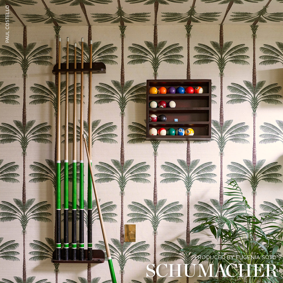 SCHUMACHER WALLCOVERING  JOHANNA ORTIZ A PALM IS A PALM SISAL   DAYLIGHT EVERGREEN   - 5016961