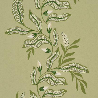 SCHUMACHER  LAURA GONZALEZ VAGARY VINES   HONEYDEW   - 5016970