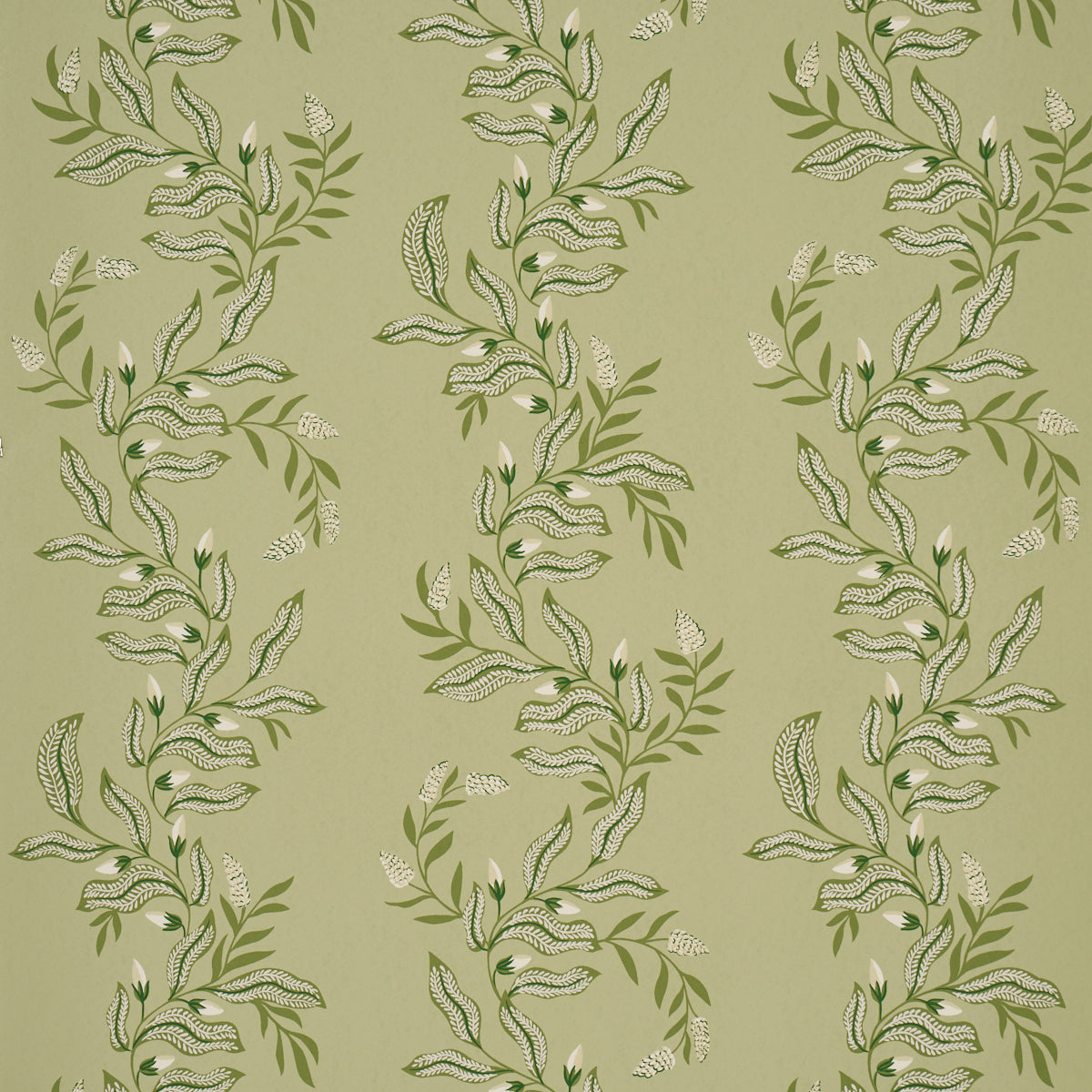 SCHUMACHER  LAURA GONZALEZ VAGARY VINES   HONEYDEW   - 5016970